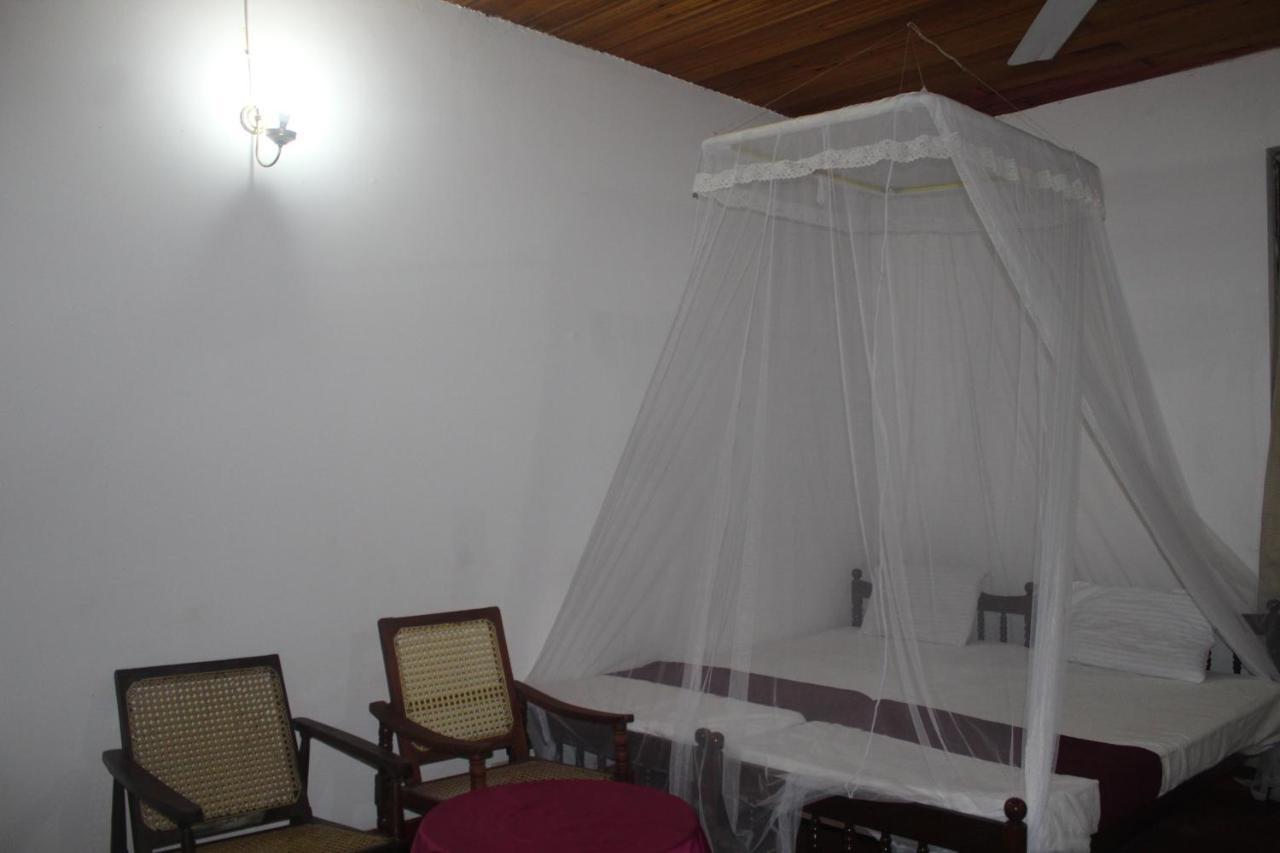 Lazy Bear Best Hostel In Канди Экстерьер фото
