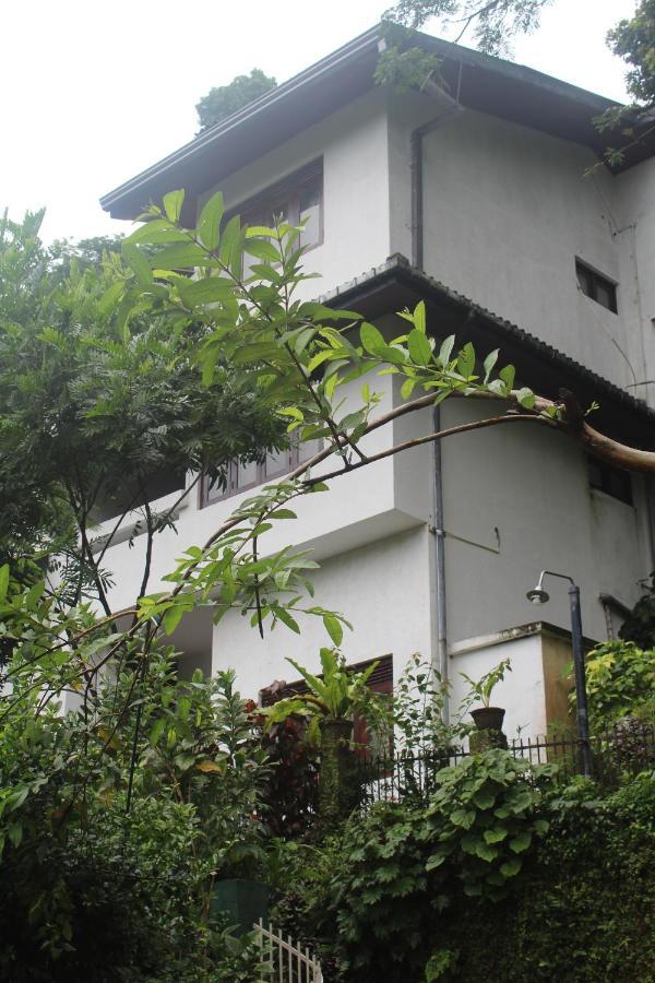Lazy Bear Best Hostel In Канди Экстерьер фото