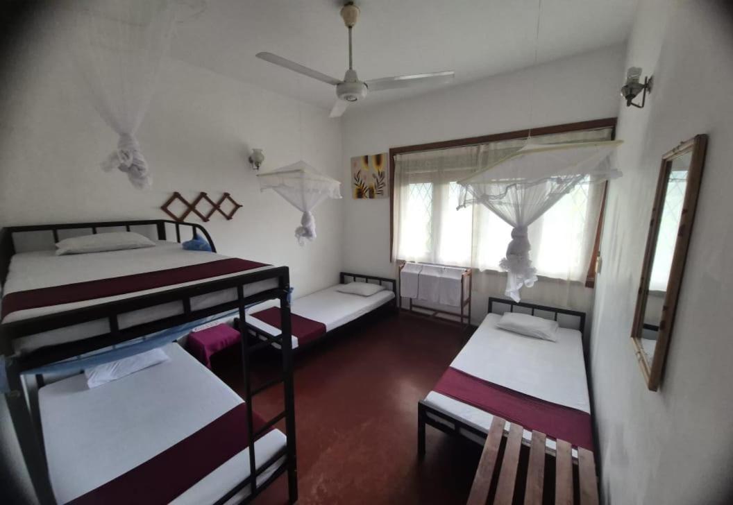 Lazy Bear Best Hostel In Канди Экстерьер фото