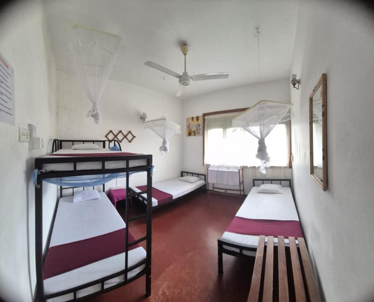 Lazy Bear Best Hostel In Канди Экстерьер фото