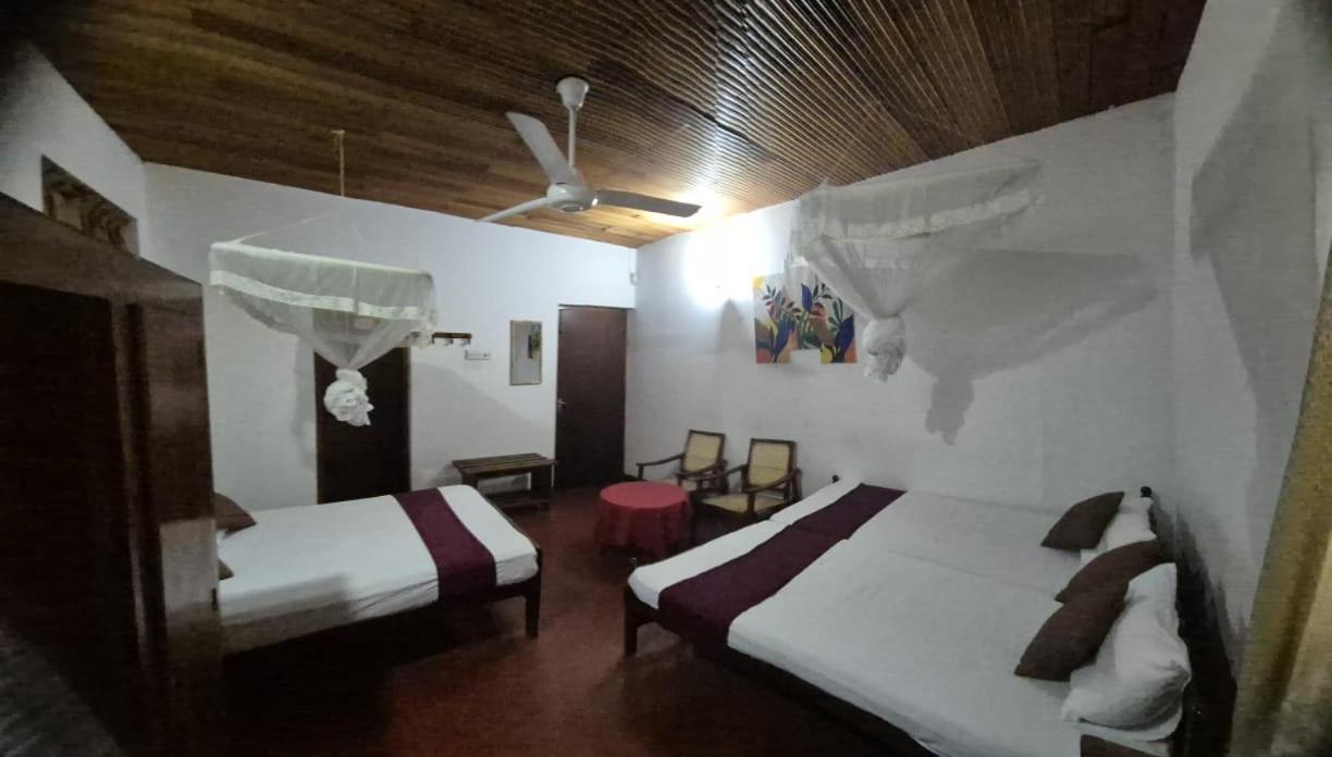 Lazy Bear Best Hostel In Канди Экстерьер фото